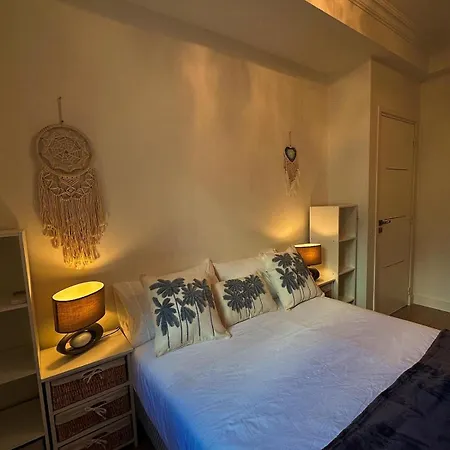 La Promenade Des 公寓 尼斯