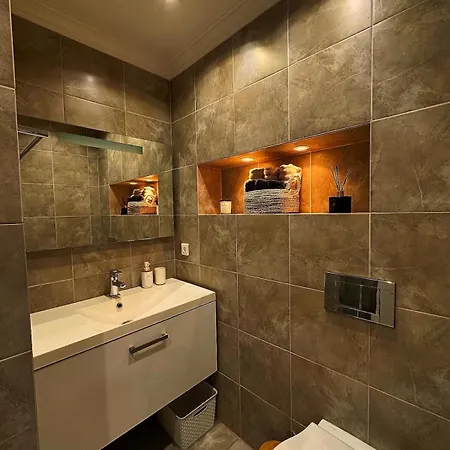 公寓 La Promenade Des 尼斯