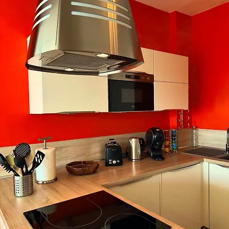 La Promenade Des 公寓 尼斯