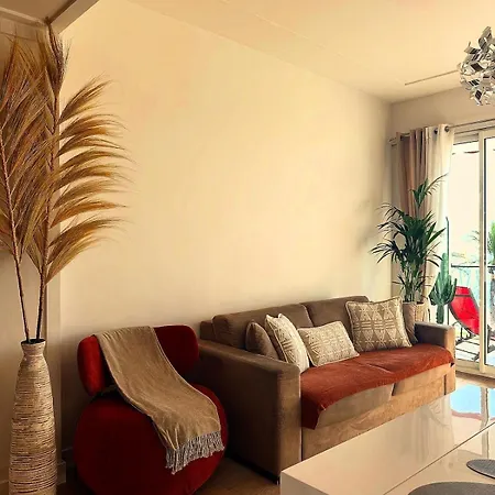 La Promenade Des * 尼斯